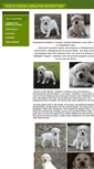 Mobile Screenshot of maplecreeklabradors.com